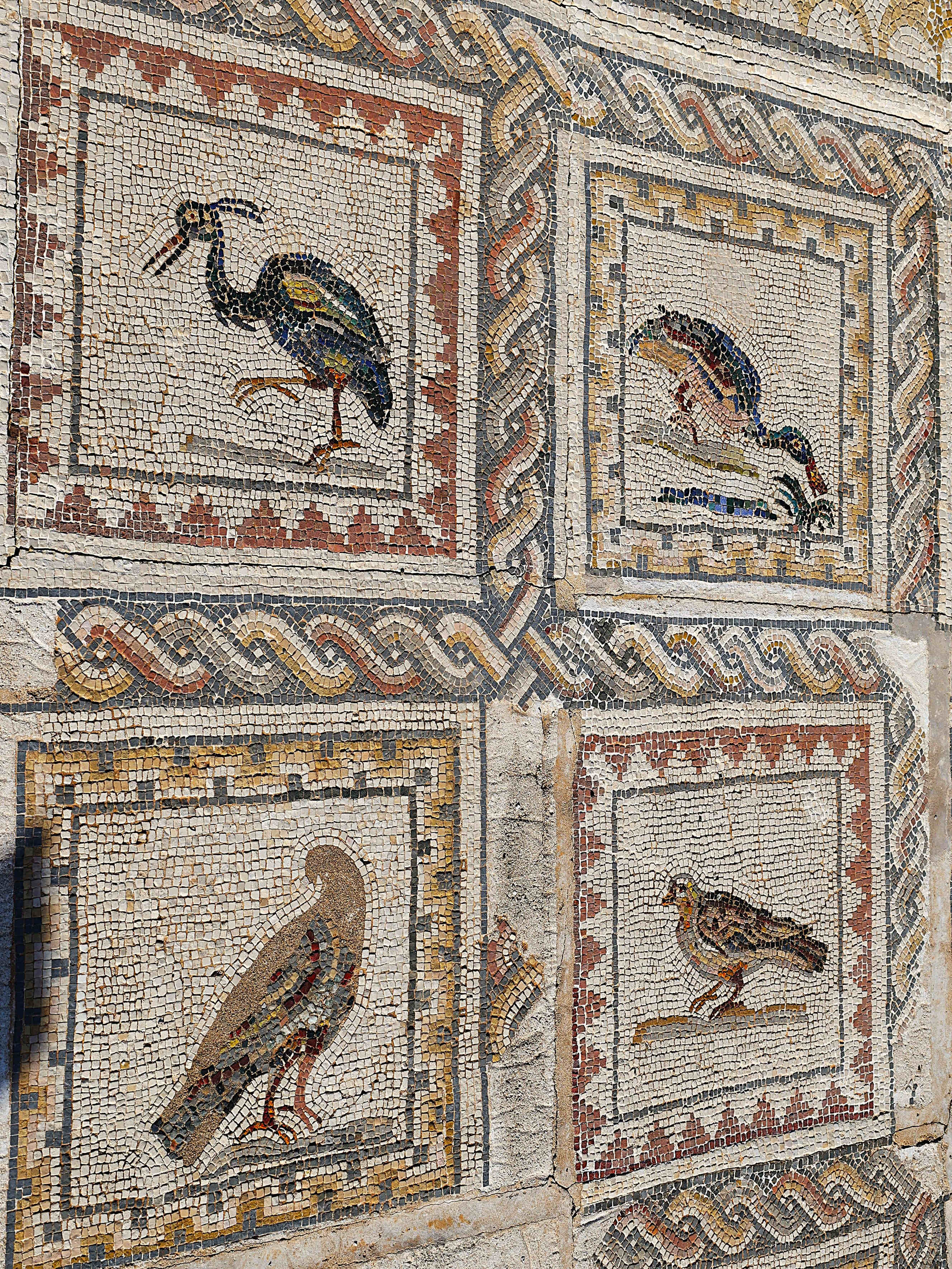 Italica